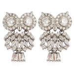 TB025 CHRISTMAS OWL EARRINGS
