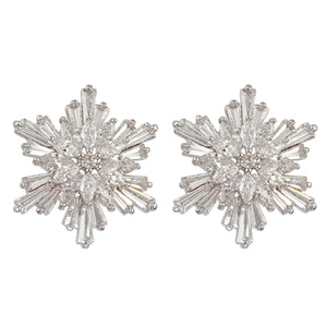 TE006 SNOWFLAKE EARRINGS