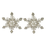 GE2446 SNOWFLAKE EARRINGS